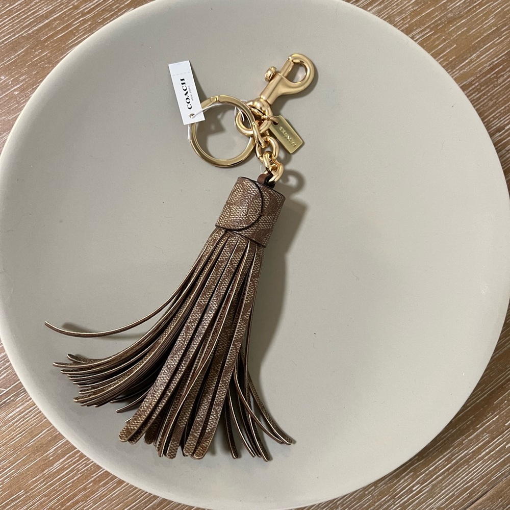 Coach keychain